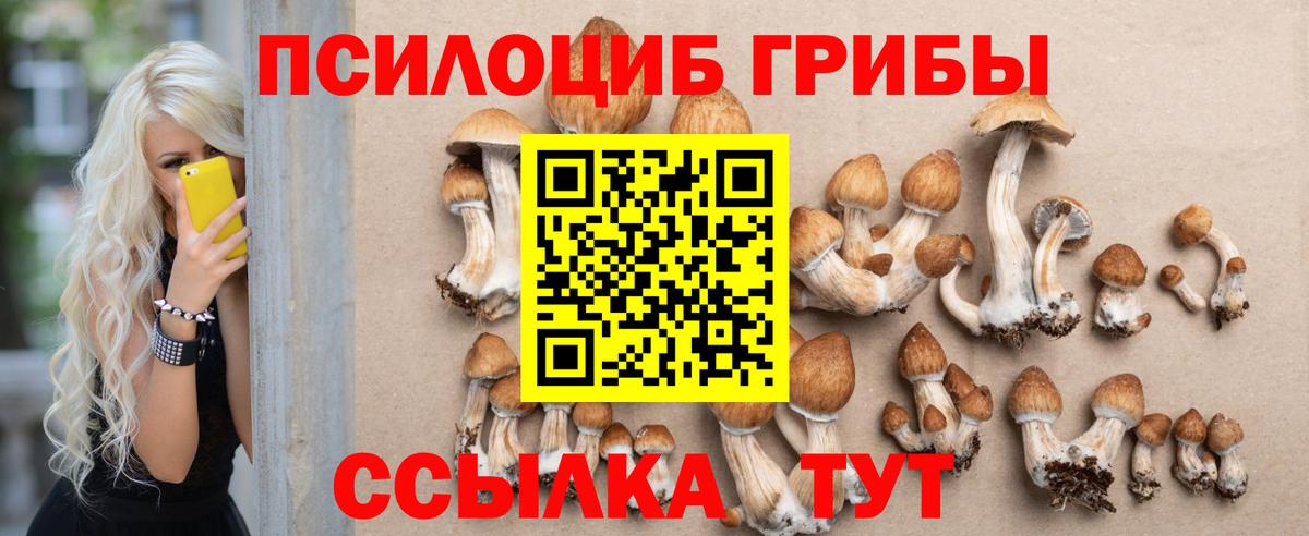 купить наркотик  Галлюциногенные грибы Psilocybe  Вход с VPN  Белогорск 